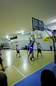 Basket 242098